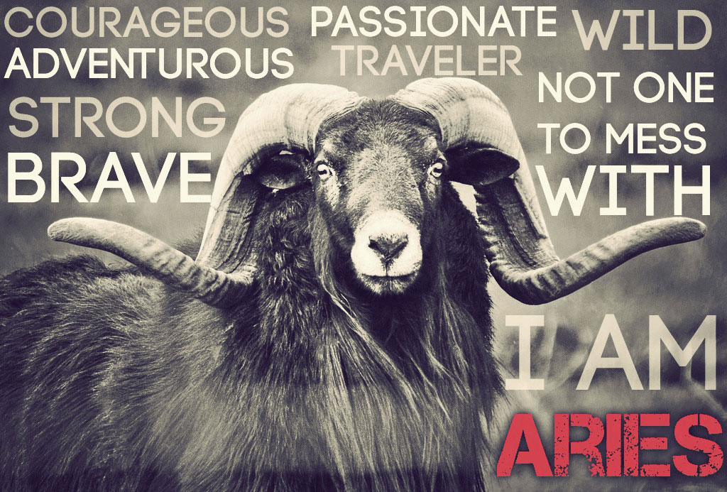 aries zodiac ram
